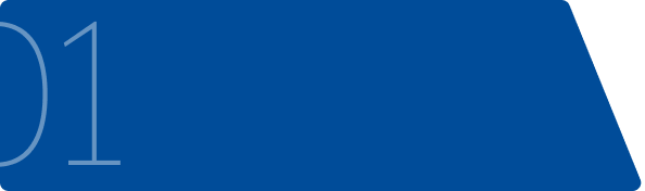 MBA with specialisation 