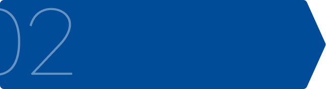 MBA with specialisation 