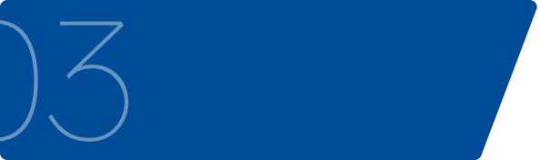 MBA with specialisation 