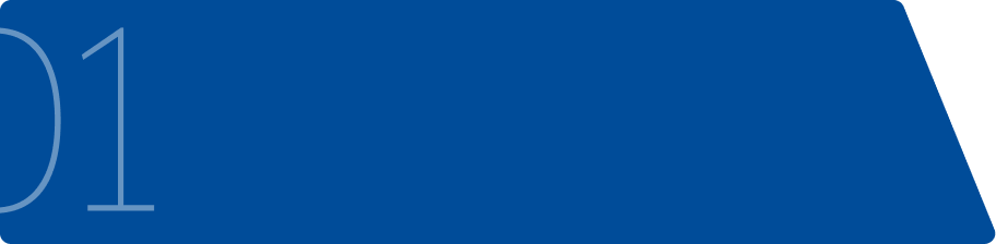 MBA with specialisation 