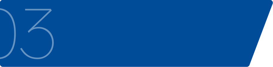 MBA with specialisation 