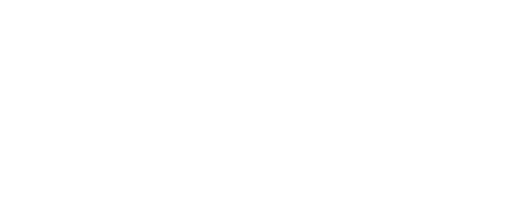 MBA with specialisation 