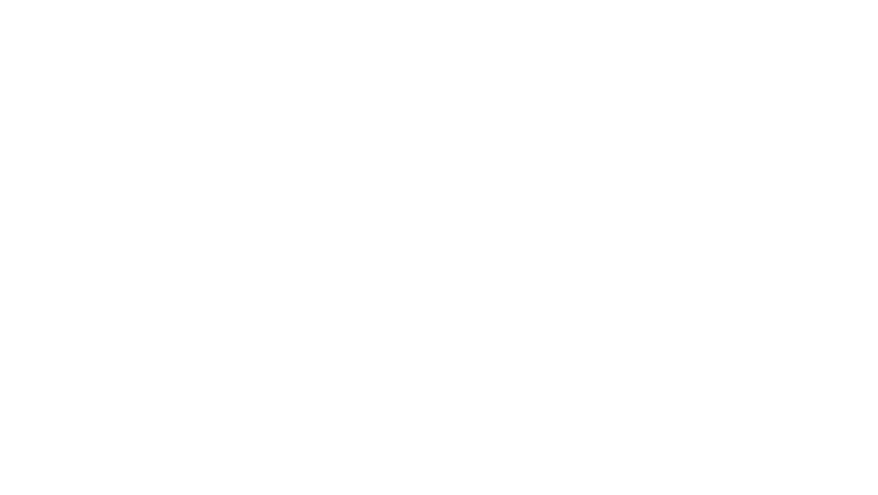 MBA with specialisation 