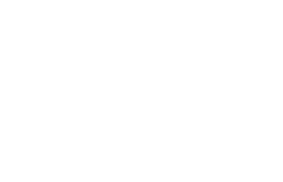 MBA with specialisation 