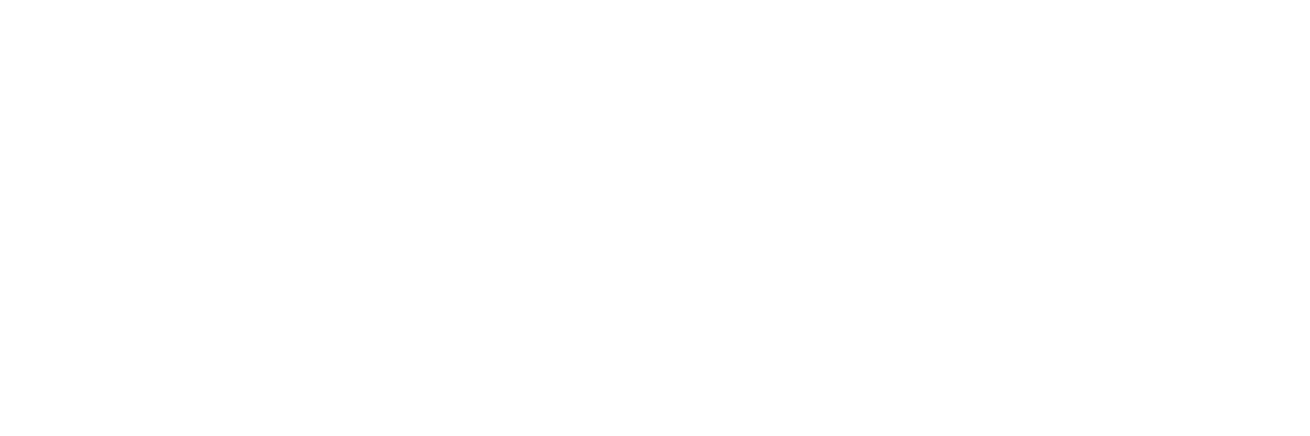 MBA with specialisation 